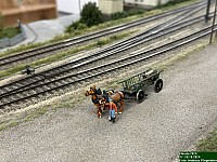 IMG_3580.JPEG